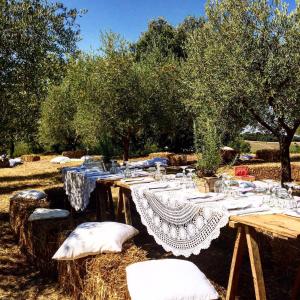 una mesa con platos y vasos en un campo en Agriturismo Zampugna, en Montefollonico