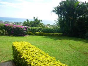 Giardino di Flamboyant Ocean View - ex Hillside Haven
