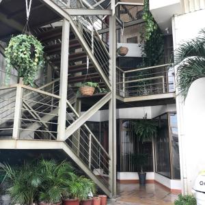 a spiral staircase in a building with potted plants at Oro Apart Hotel in San Antonio