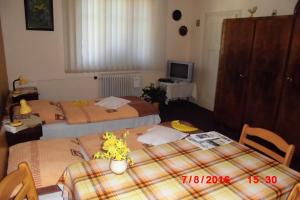 Кровать или кровати в номере Apartmán v secesní vile