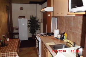 małą kuchnię ze zlewem i lodówką w obiekcie Apartmán v secesní vile w mieście Úpice