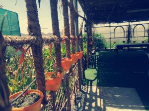 Fotografie z fotogalerie ubytování Yonis Farm v destinaci Kharmāʼ