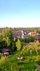 uitzicht op een park met bomen en huizen bij Familienzimmer in Kassel in Kassel