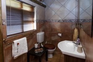 a bathroom with a toilet and a sink at A-1 Njalo-NjaloSafari´s in Touwsrivier