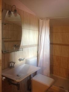 a bathroom with a sink and a toilet and a mirror at Pensiunea la Nise in Sîmbăta de Sus