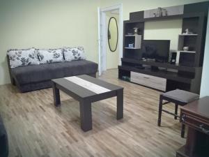 a living room with a couch and a coffee table at Apartment Jelena in Belgrade