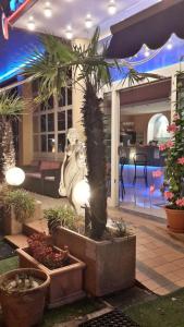 Fotografie z fotogalerie ubytování Hotel Patrizia v destinaci Senigallia