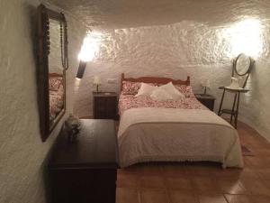 a bedroom with a large bed and a mirror at Cueva Chelaja in Galera