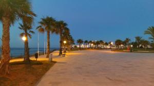 - une rue avec des palmiers et l'océan la nuit dans l'établissement Apartament Tina "Ozonizado", à Playa Flamenca