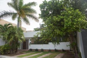 カンクンにあるCozy house downtown Cancunの前にヤシの木がある家
