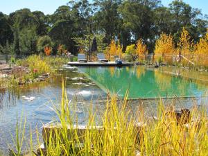 Natural landscape malapit sa holiday home