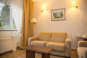 Posezení v ubytování Hotel Germisara