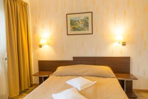 Postel nebo postele na pokoji v ubytování Hotel Germisara