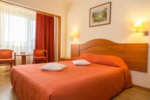 Postel nebo postele na pokoji v ubytování Hotel Germisara