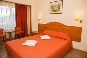 Postel nebo postele na pokoji v ubytování Hotel Germisara