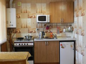 クストヴォにあるApartments on 40 let Oktyabryaの小さなキッチン(コンロ、冷蔵庫付)