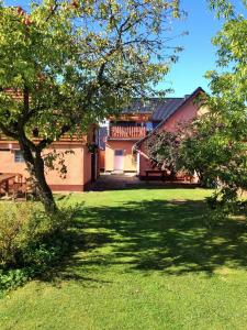 a green yard with a tree and a building at Ferienhaus Moewe in Hanshagen