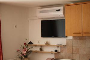 Kuchyň nebo kuchyňský kout v ubytování Apartmenthaus Fa