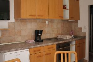 Kuchyň nebo kuchyňský kout v ubytování Apartmenthaus Fa