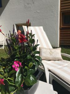 Zahrada ubytování Hotel Meisules