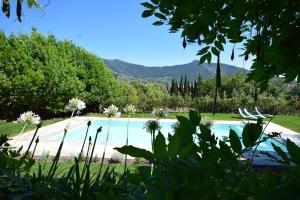una piscina en medio de un patio con árboles en Al Palazzaccio, en Calci