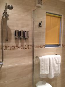a bathroom with a shower with a toilet and a glass door at Lochedge Lodge in Bunavoneader