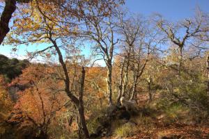 Paesaggio naturale nelle vicinanze dello chalet