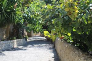 Zahrada ubytování B&B Agriturismo 'A Cunziria