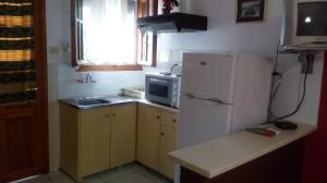 Kuchyň nebo kuchyňský kout v ubytování AGATHA appartments PALIOURIA