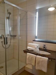 La salle de bains est pourvue d'une douche et d'un lavabo. dans l'établissement Tagungshaus Wernau, à Wernau