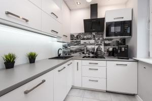 Η κουζίνα ή μικρή κουζίνα στο Apartament Silesian Vip +13 φωτογραφίες