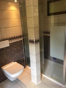 uma casa de banho com um WC e um chuveiro em villa maxilly em Maxilly-sur-Léman