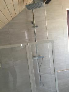 y baño con ducha y puerta de cristal. en villa maxilly, en Maxilly-sur-Léman