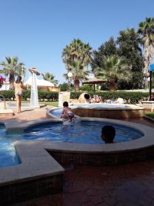 un grupo de personas en una piscina en APCOSTAS - San Antonio, en Alcossebre
