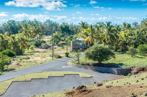an empty road in a park with palm trees at Merlin Guest House in Rodrigues Island