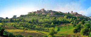 a hill with a castle on top of it at La casa di Arianna in Casole dʼElsa