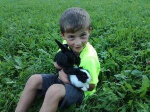 a young boy sitting in the grass holding two birds at Mooslechnerhof in Virgen