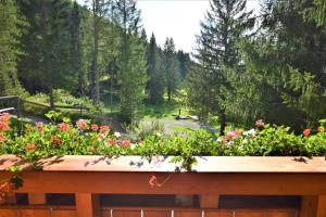 Zahrada ubytování Ferienhaus Dirnbacher Hütte