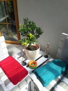 a table with a potted plant and a bowl of fruit at Haus Elisabeth in Napplach