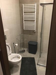 a bathroom with a toilet and a glass shower at Apartament JULIA in Świnoujście