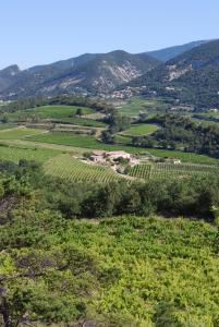 a view of a vineyard from the hills at Domaine de Provensol in Venterol