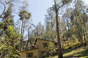 Gallery image of Altai Oasis Lodge in Sorata
