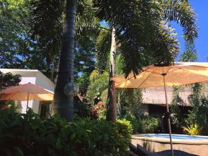 Vonkajšia záhrada v ubytovaní Acacia Tree Garden Hotel