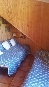 two beds in a room with wooden walls at Fiocco di Neve in Massa dʼAlbe
