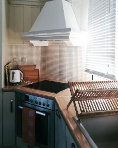 een keuken met een fornuis en een kookplaat bij Avia Holiday Homes in Avía