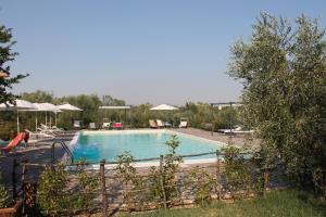 a large swimming pool with chairs and umbrellas at Agriturismo L'Assiolo in Miglionico