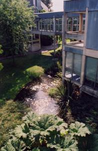 A garden outside Egrove Park, University of Oxford 