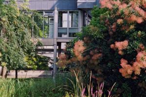 The building where the bed & breakfast is located 