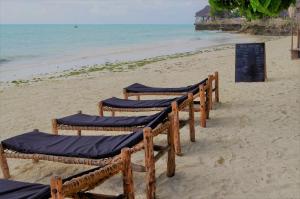 a row of chairs on a beach with the ocean at Kimte Beach Lodge in Jambiani