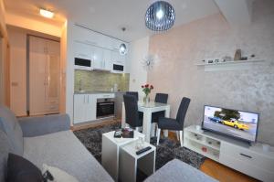 a living room with a couch and a tv at Apartment VUKOTA Zlatibor in Zlatibor